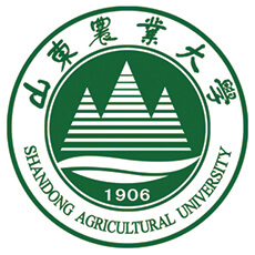2023山东农业大学艺术类分数线（含2021-2023历年分数）