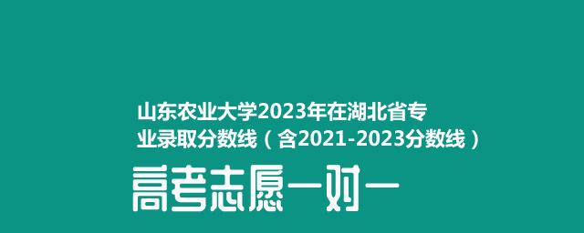 山东农业大学2023年在湖北省专业录取分数线（含2021-2023分数线）