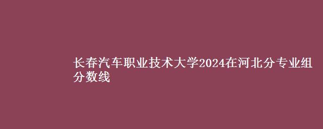 长春汽车职业技术大学2024在河北分专业组分数线