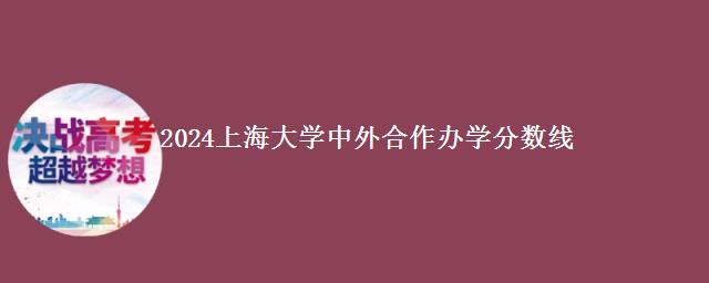 2024上海大学中外合作办学分数线