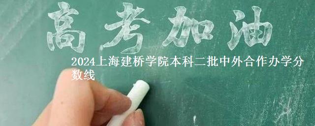 2024上海建桥学院本科二批中外合作办学分数线