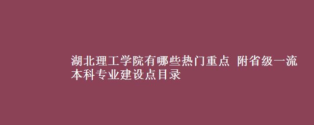 湖北理工学院有哪些热门重点 附省级一流本科专业建设点目录