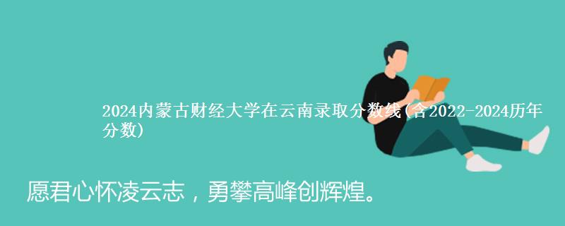 2024内蒙古财经大学在云南录取分数线(含2022-2024历年分数)