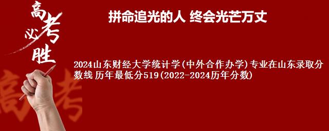 2024山东财经大学统计学(中外合作办学)专业在山东录取分数线 历年最低分519(2022-2024历年分数)