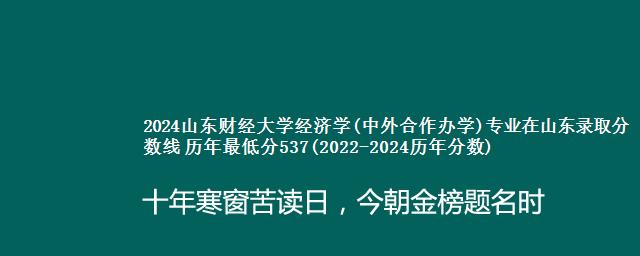 2024山东财经大学经济学(中外合作办学)专业在山东录取分数线 历年最低分537(2022-2024历年分数)