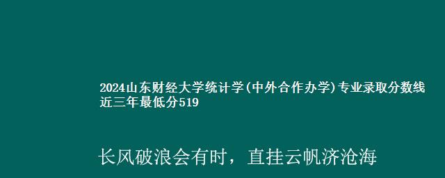 2024山东财经大学统计学(中外合作办学)专业录取分数线 近三年最低分519