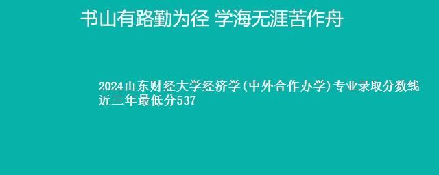 2024山东财经大学经济学(中外合作办学)专业录取分数线 近三年最低分537