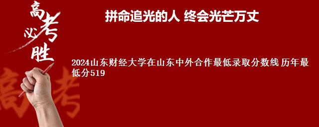 2024山东财经大学在山东中外合作最低录取分数线 历年最低分519