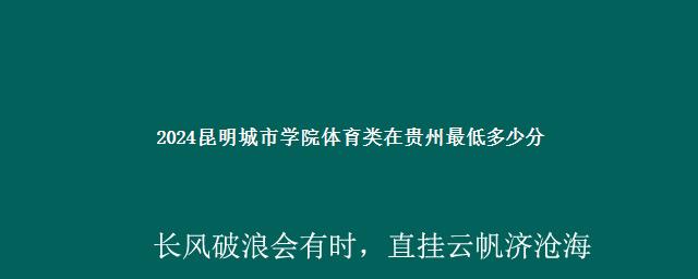 2024昆明城市学院体育类在贵州最低多少分 