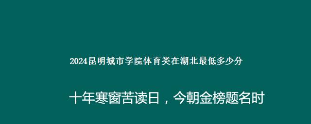 2024昆明城市学院体育类在湖北最低多少分 