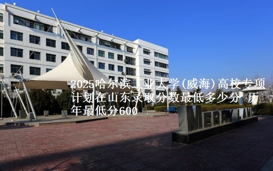 2025哈尔滨工业大学(威海)高校专项在山东录取分数最低多少分 历年最低分600