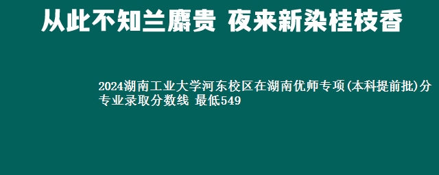 2024湖南工业大学河东校区在湖南优师专项(本科提前批)分专业录取分数线 最低549