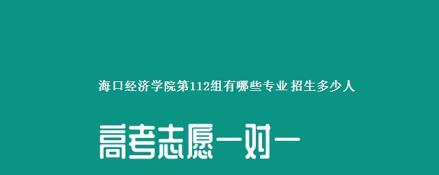 海口经济学院第112组有哪些专业 招生多少人