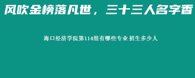 海口经济学院第114组有哪些专业 招生多少人