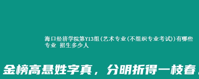 海口经济学院第Y13组(艺术专业(不组织专业考试))有哪些专业 招生多少人