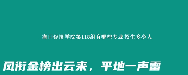 海口经济学院第118组有哪些专业 招生多少人