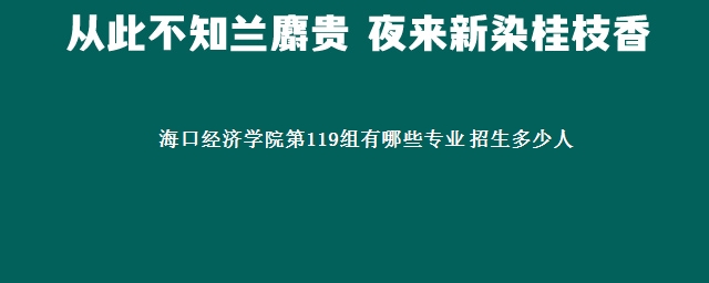 海口经济学院第119组有哪些专业 招生多少人