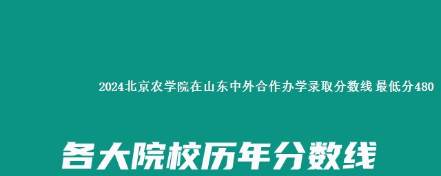 2024北京农学院在山东中外合作办学录取分数线 最低分480