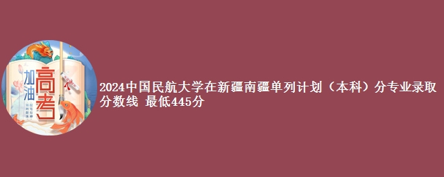 2024中国民航大学在新疆南疆单列计划（本科）分专业录取分数线 最低445分