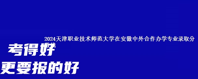 2024天津职业技术师范大学在安徽中外合作办学专业录取分数线