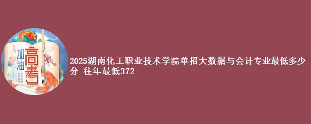 2025湖南化工职业技术学院单招大数据与会计专业最低多少分 往年最低372