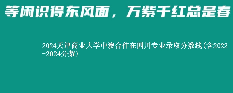 2024天津商业大学中澳合作在四川专业录取分数线(含2022-2024分数)