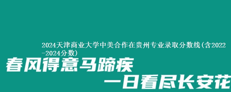 2024天津商业大学中美合作在贵州专业录取分数线(含2022-2024分数)