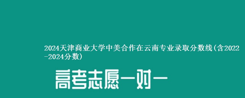 2024天津商业大学中美合作在云南专业录取分数线(含2022-2024分数)