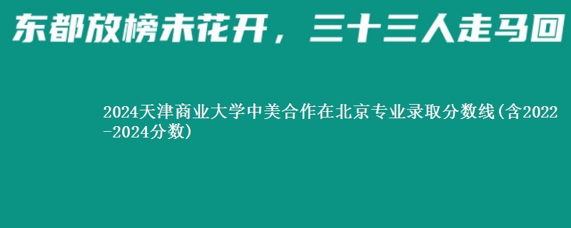 2024天津商业大学中美合作在北京专业录取分数线(含2022-2024分数)