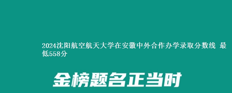 2024沈阳航空航天大学在安徽中外合作办学录取分数线 最低558分