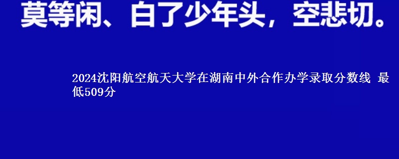 2024沈阳航空航天大学在湖南中外合作办学录取分数线 最低509分