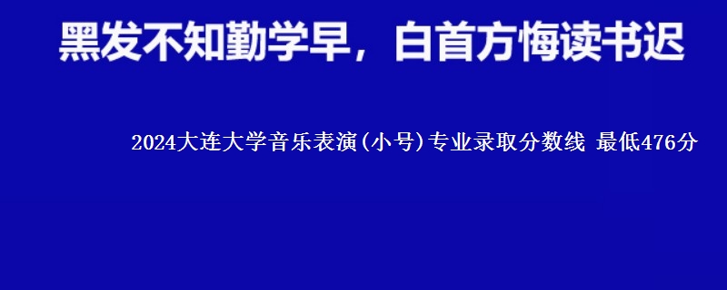 2024大连大学音乐表演(小号)专业录取分数线 最低476分