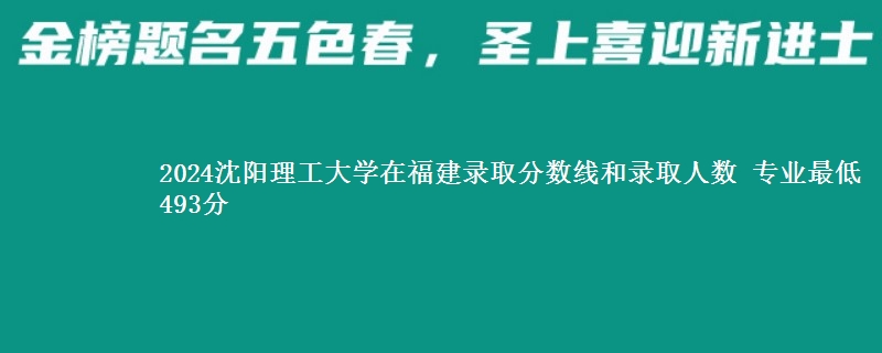 2024沈阳理工大学在福建录取分数线和录取人数 专业最低493分