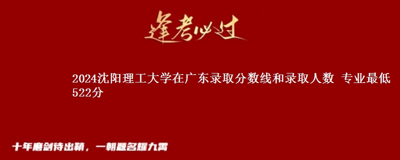 2024沈阳理工大学在广东录取分数线和录取人数 专业最低522分