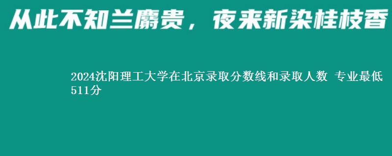 2024沈阳理工大学在北京录取分数线和录取人数 专业最低511分