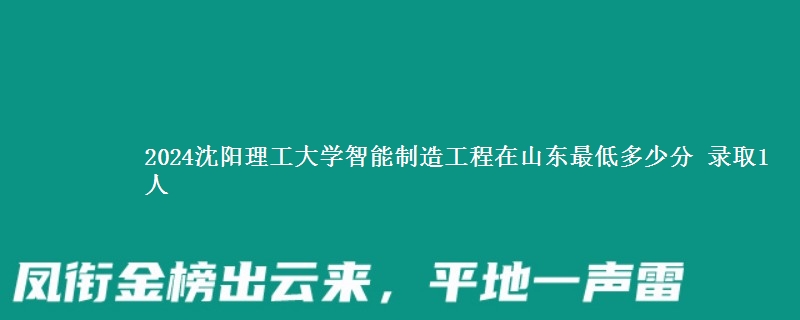 2024沈阳理工大学智能制造工程在山东最低多少分 录取1人