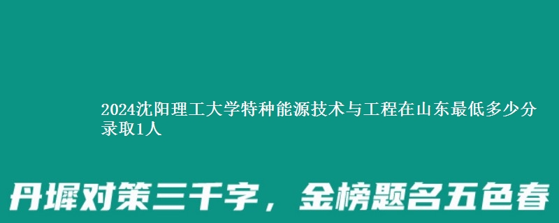 2024沈阳理工大学特种能源技术与工程在山东最低多少分 录取1人