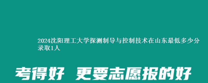 2024沈阳理工大学探测制导与控制技术在山东最低多少分 录取1人