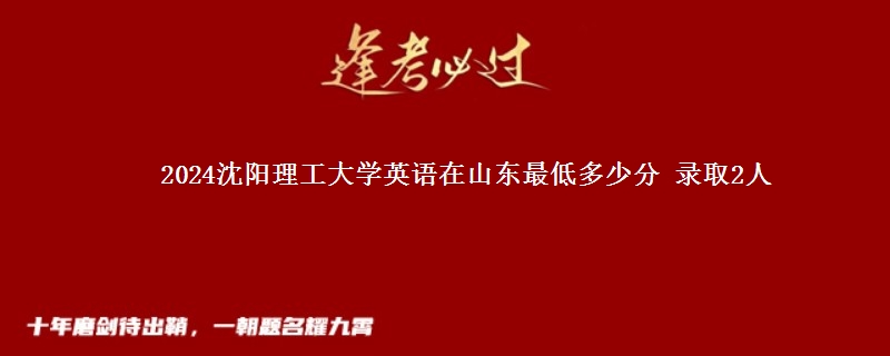 2024沈阳理工大学英语在山东最低多少分 录取2人