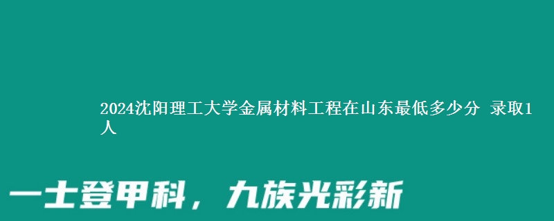 2024沈阳理工大学金属材料工程在山东最低多少分 录取1人