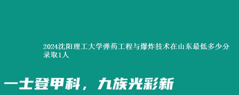 2024沈阳理工大学弹药工程与爆炸技术在山东最低多少分 录取1人