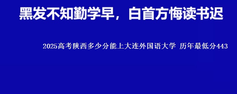 2025高考陕西多少分能上大连外国语大学 历年最低分443