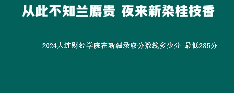 2024大连财经学院在新疆录取分数线多少分 最低285分