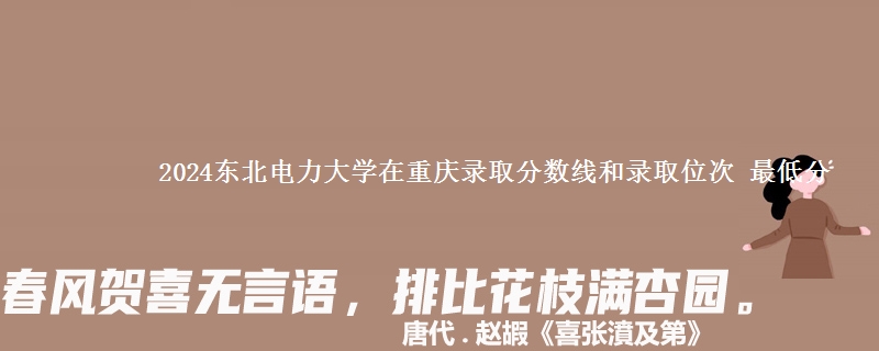 2024东北电力大学在重庆录取分数线和录取位次 最低分