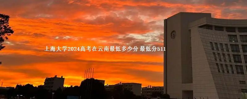 上海大学2024高考在云南最低多少分 最低分511(2022-2024历年分数)