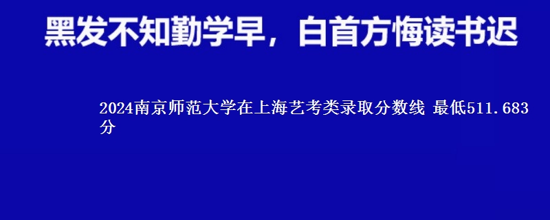 2024南京师范大学在上海艺考类录取分数线 最低511.683分