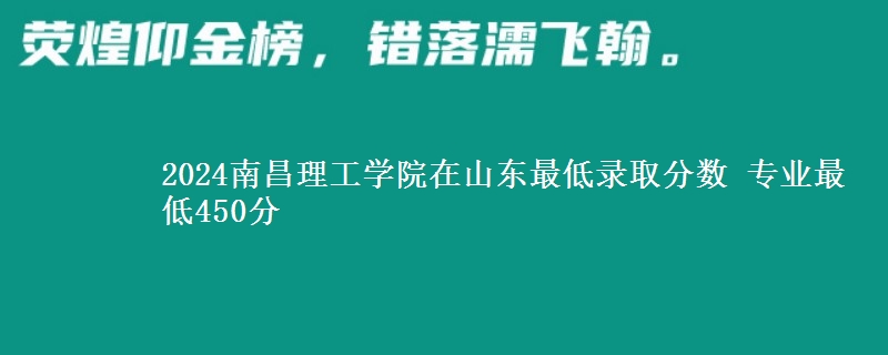 2024南昌理工学院在山东最低录取分数 专业最低450分