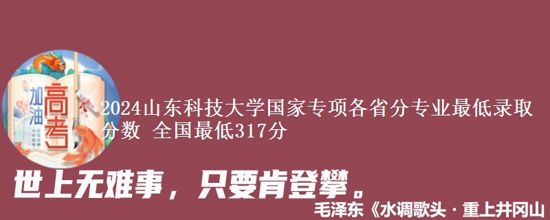 2024山东科技大学国家专项各省分专业最低录取分数 全国最低317分