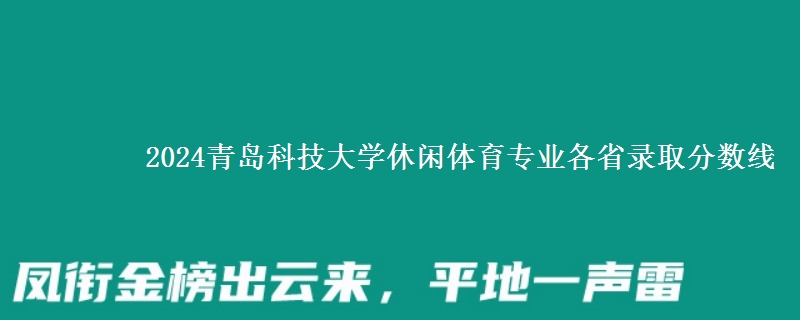 2024青岛科技大学休闲体育专业各省录取分数线