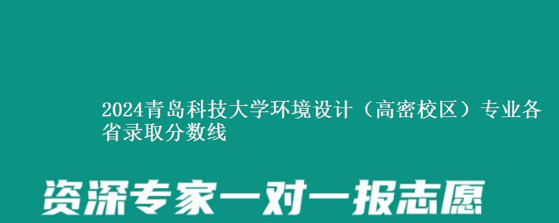 2024青岛科技大学环境设计（高密校区）专业各省录取分数线